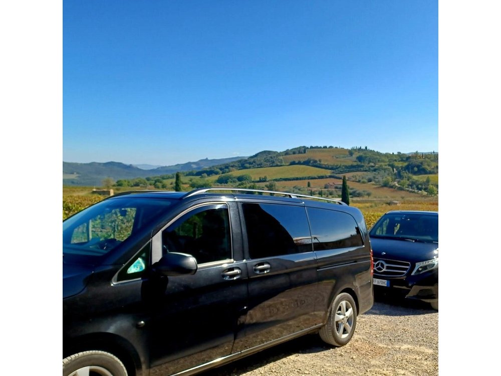 Private and Guided Day Visit to Beautiful Tuscany from Rome