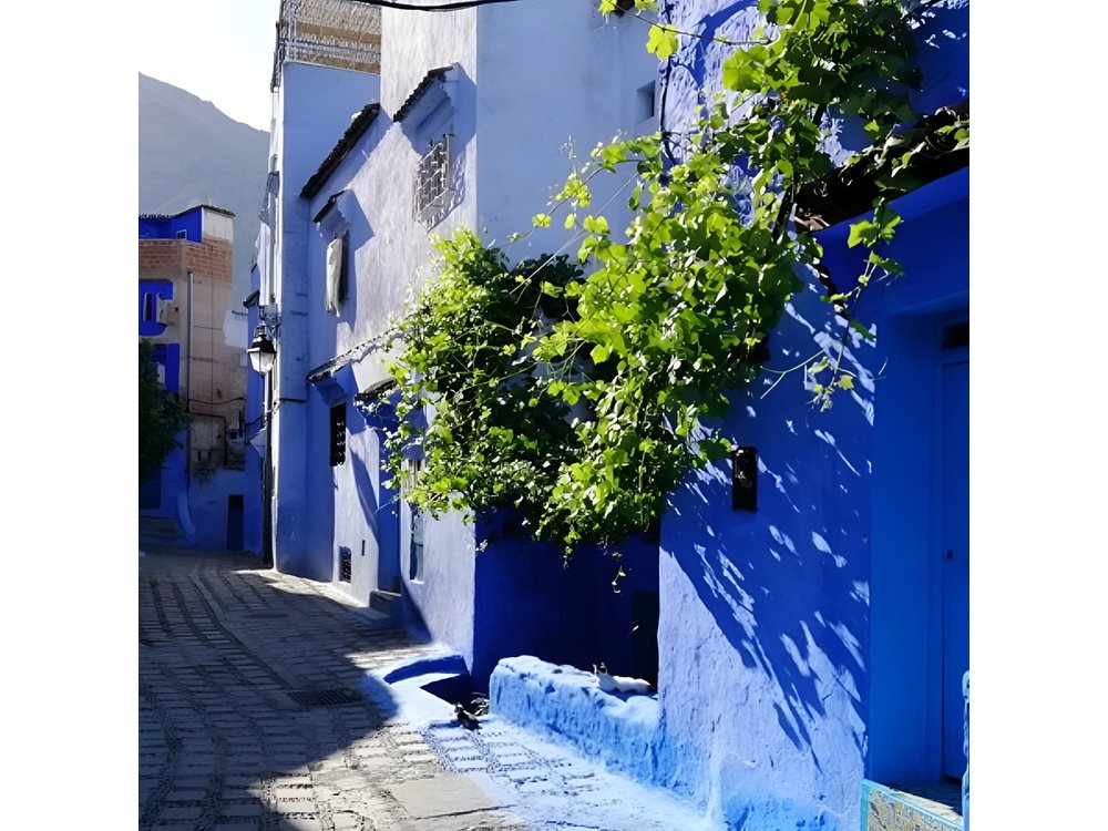 2 Days, 1 night to Blue city Chefchaouen from Casablanca or Rabat