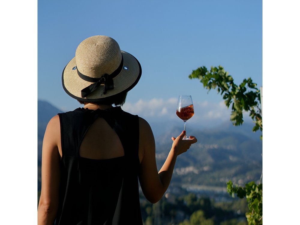 Vineyard Tour with Wine Tasting in Nice