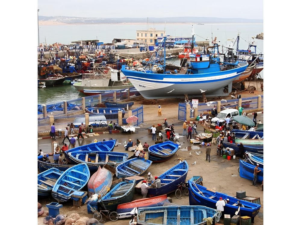 Full-Day Trip to Essaouira from Marrakech