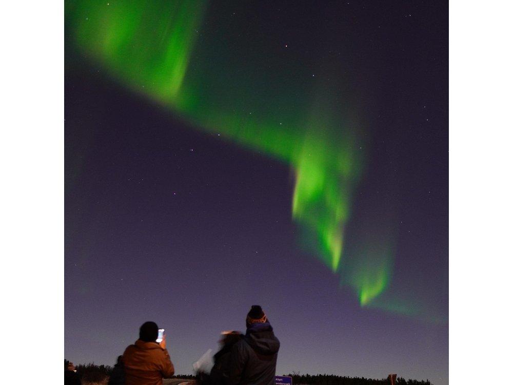 Reykjavik Northern Lights Tour with Pro Aurora Photos Small Group