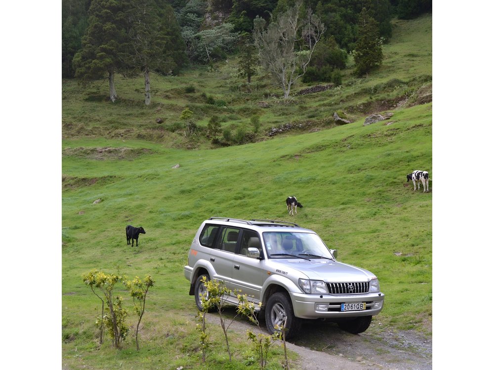 Half-Day Private Tour to Sete Cidades from Ponta Delgada