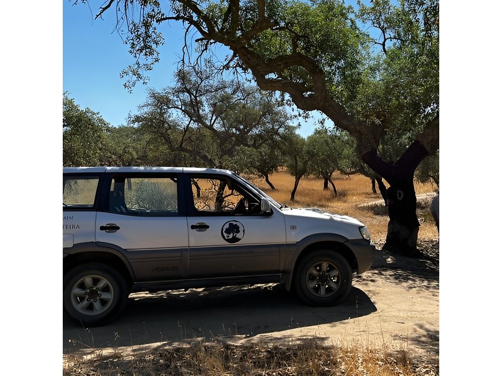 2hr Cork Tour in a Jeep