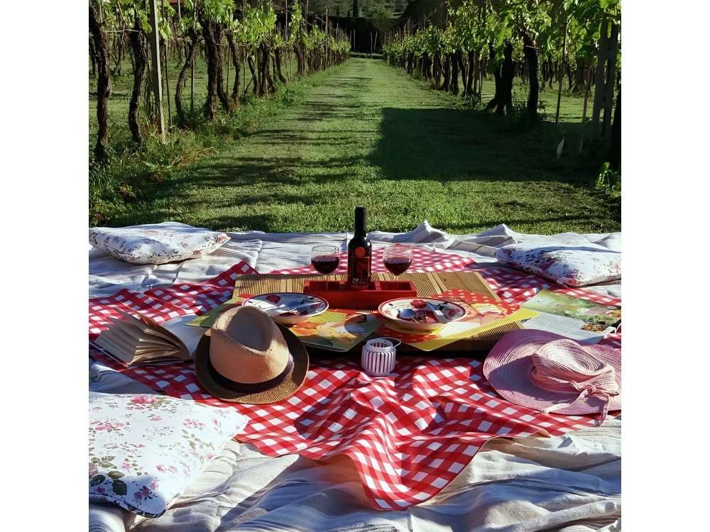 Lucca: self-guided bike tour + picnic in the vineyards