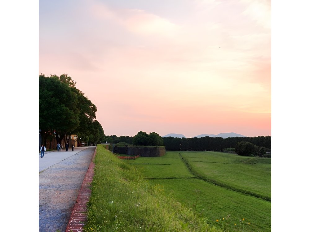 Private tour: Sweet and salty Lucca by E-bike