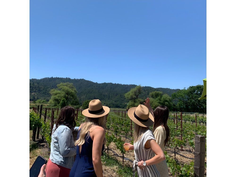 Wine Tour Pros - Napa Wine Tour: SUV Up To 6 Guests