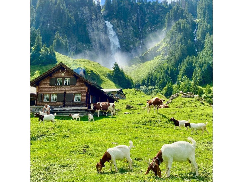 From Zurich: The most beautiful insider spots in Switzerland (private 1-day tour)