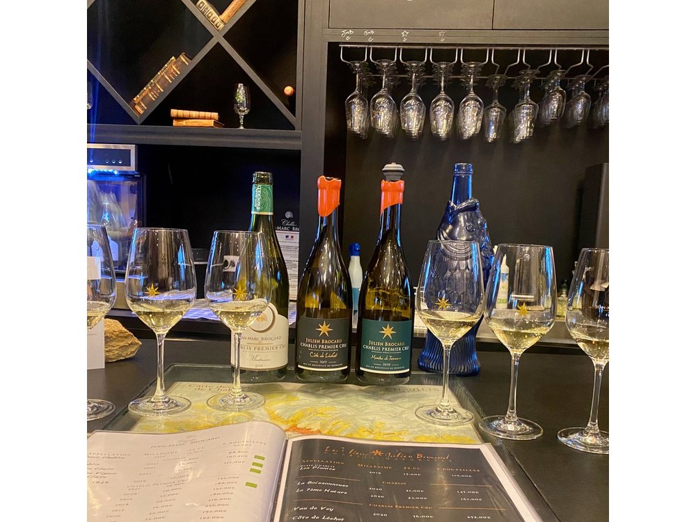 Chablis 20 Exquisite Wines Tasting Trip in Small-Group from Paris