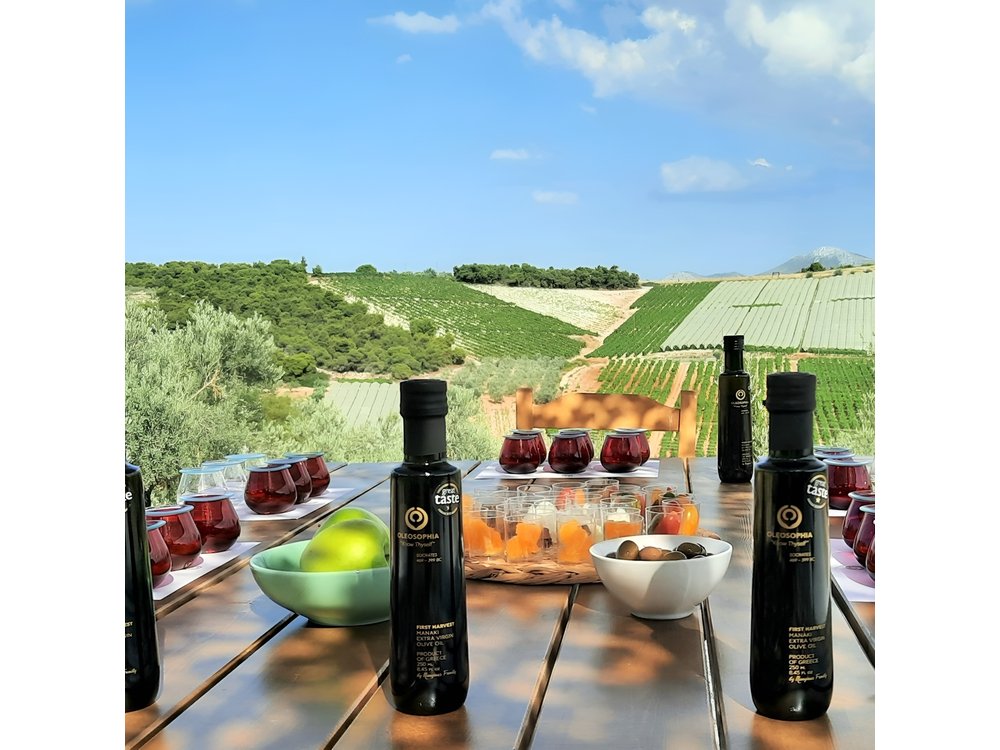From Athens: Olive Oil Tasting, Olive Grove & Wine Experience