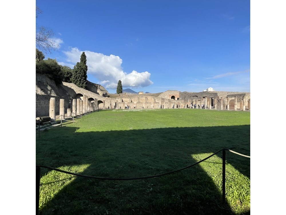 Guided Tour Pompeii And Vesuvius from Positano Skip the Line