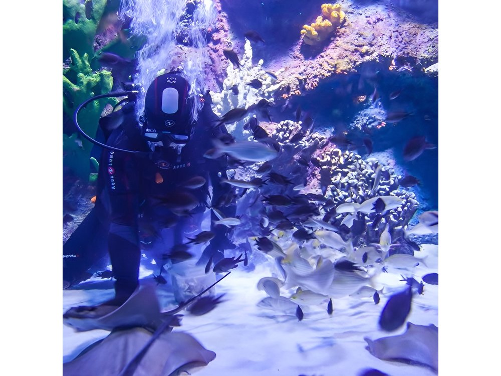 Alexander Waterfall and Antalya Aquarium Day Tour from Side