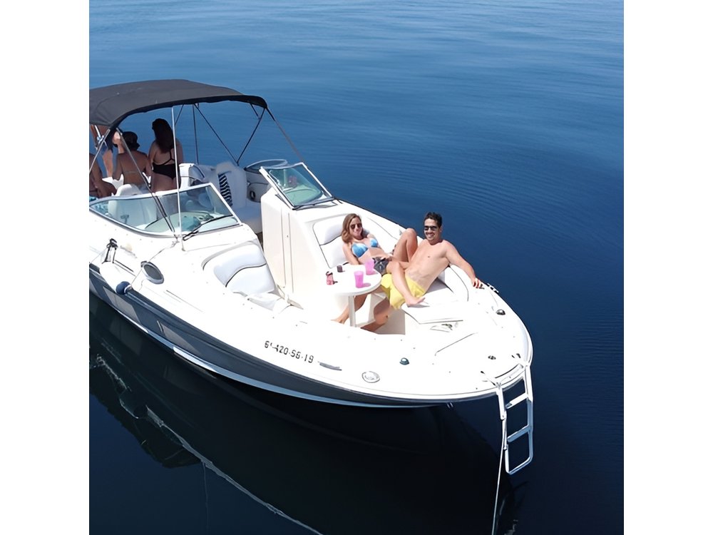 Sea Ray boat sailing in Marbella