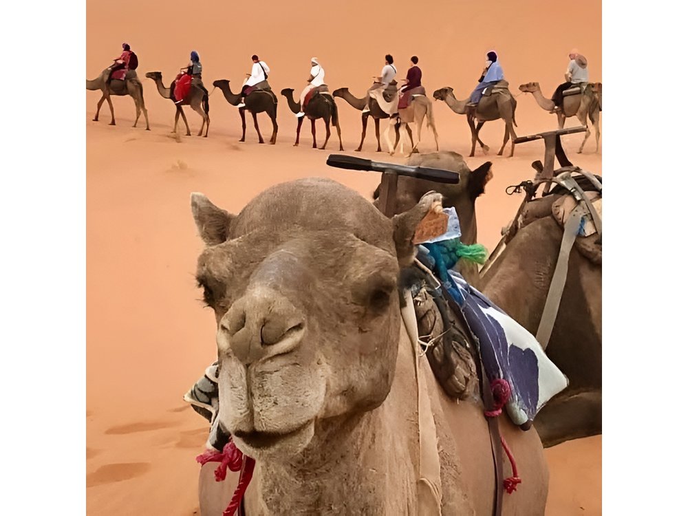 4 Days Desert Tours from Marrakech to Merzouga