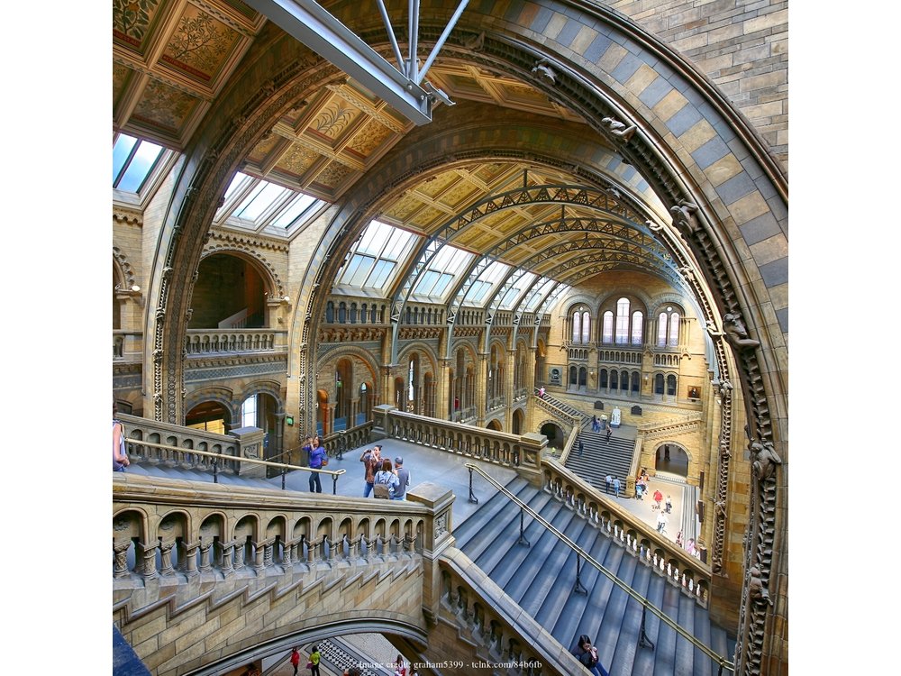 The Natural History Museum of London: Private Half-Day Tour