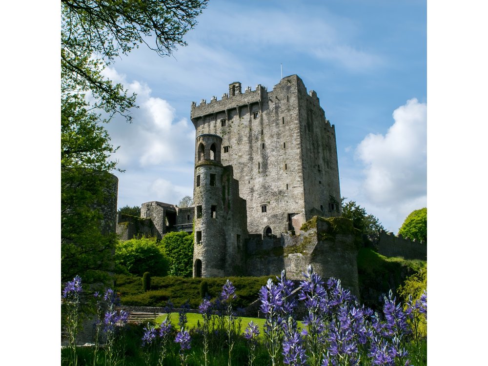 Chauffeur Blarney and Cork Private Day Tour from Dublin