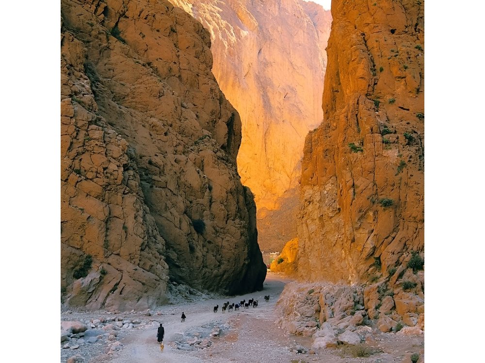 Private 8 Days Morocco Tour From Marrakech with Sahara Desert