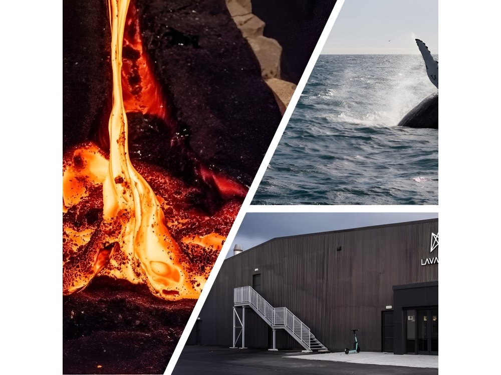 Reykjavik Whale Watching and Lava Show