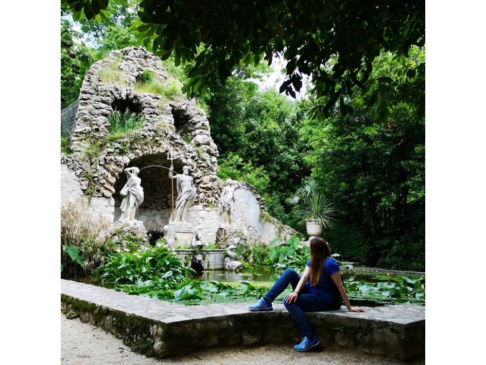 Panorama Dubrovnik & Arboretum Trsteno PRIVATE TOUR