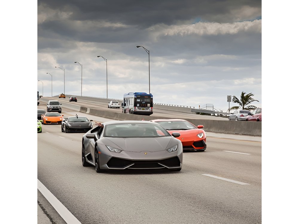 8 Hours Exotic Car Rally Experience - Miami-Islamorada-Miami, FL