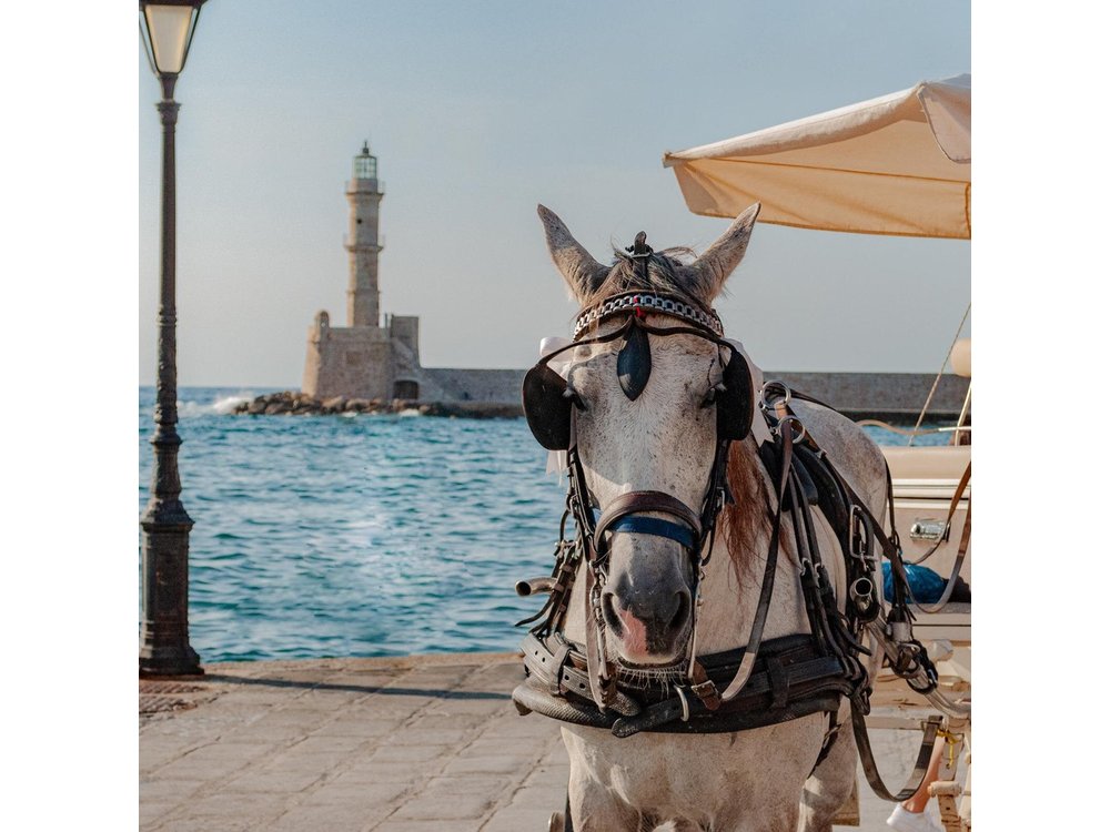 Private Shore Escape: Chania, Monastery & Olive Oil Tasting