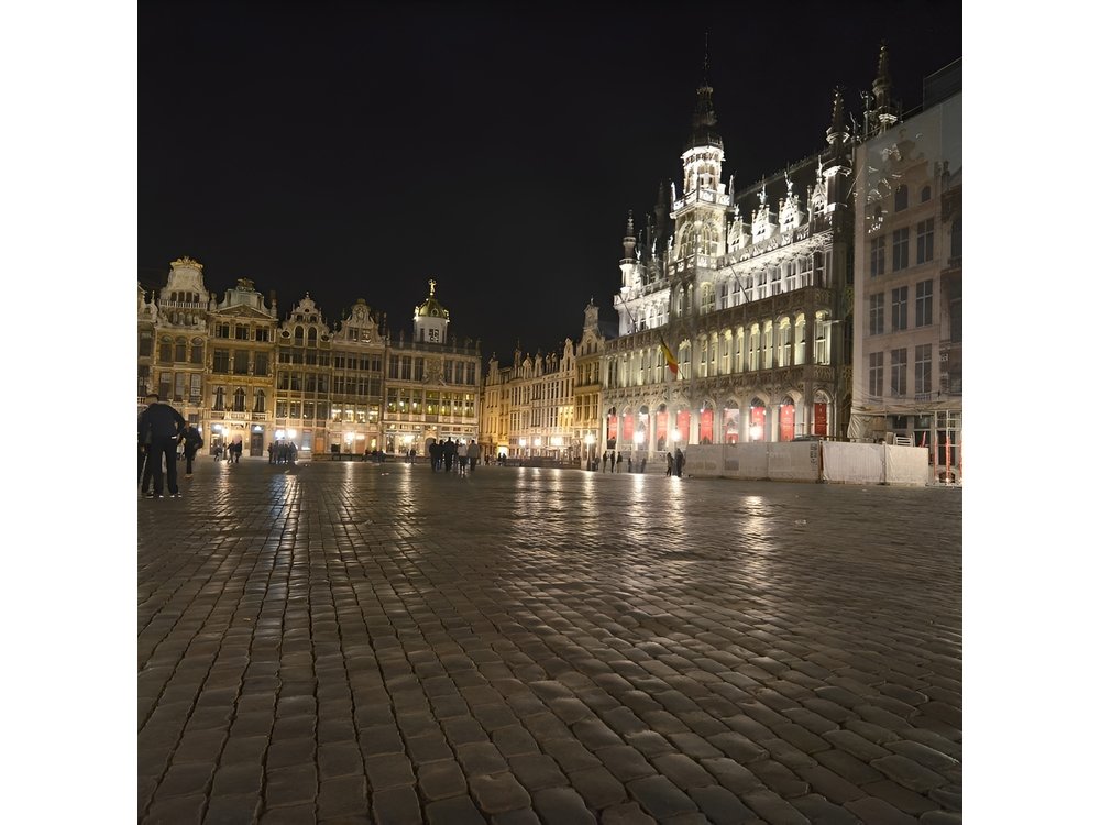 Brussels : Private Walking Tour with A Guide (Private Tour)