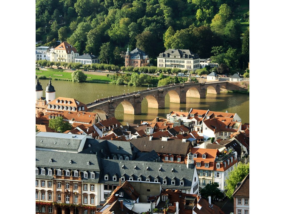 Heidelberg Exclusive Tour - Old Town, Scenic Walk & Castle Entry