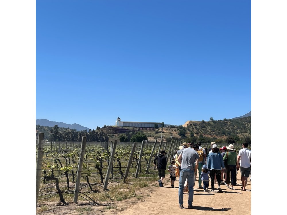 Full Day Private Tour in Casablanca Valparaíso and Viña del Mar
