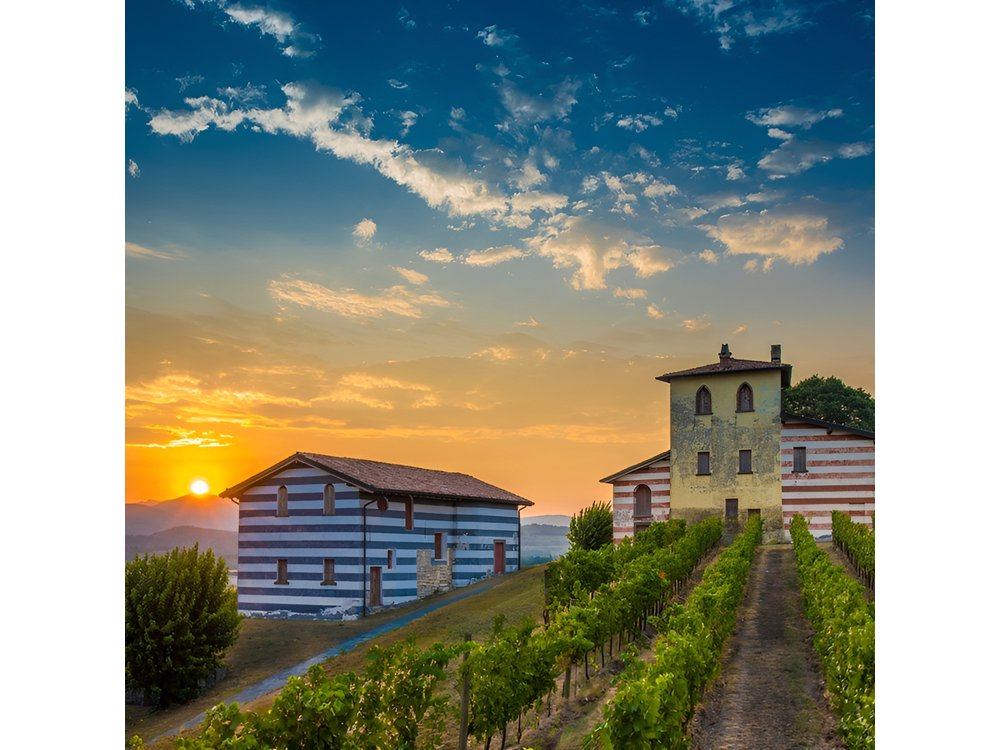 Bergamo and Franciacorta with lunch and cellar visit