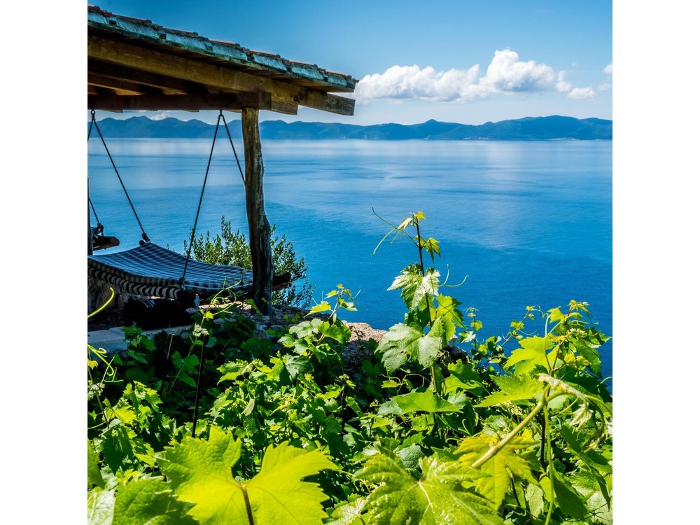 Dubrovnik's Organic Wine Experience with snack