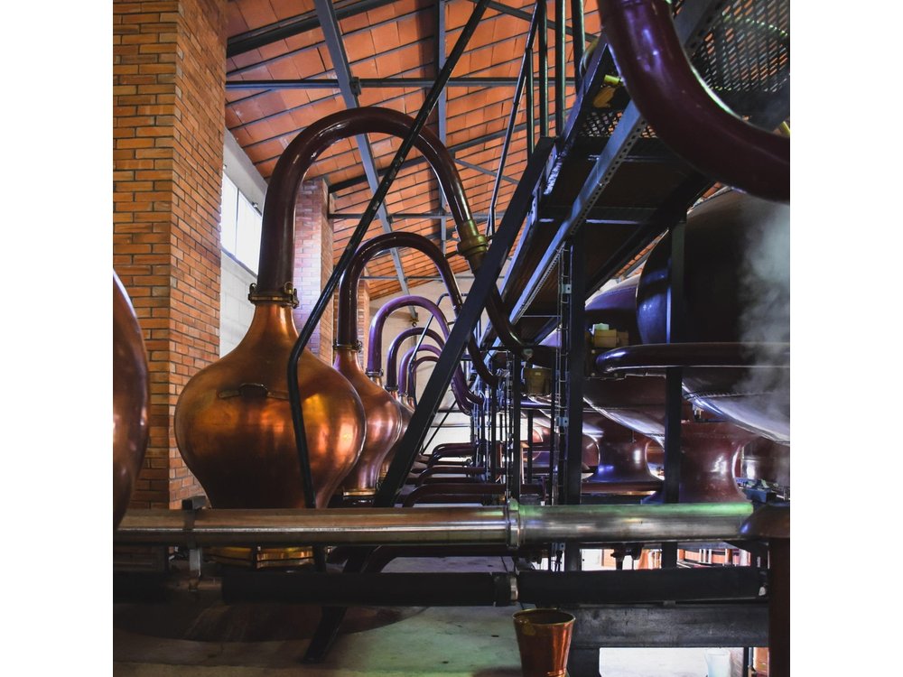Discover Braastad Cognac