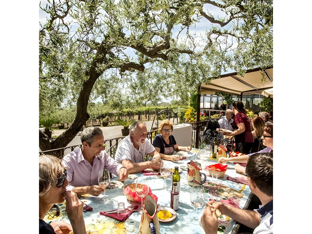 Scenic Wine Tasting & Lunch on the Slopes of Vesuvius from Naples
