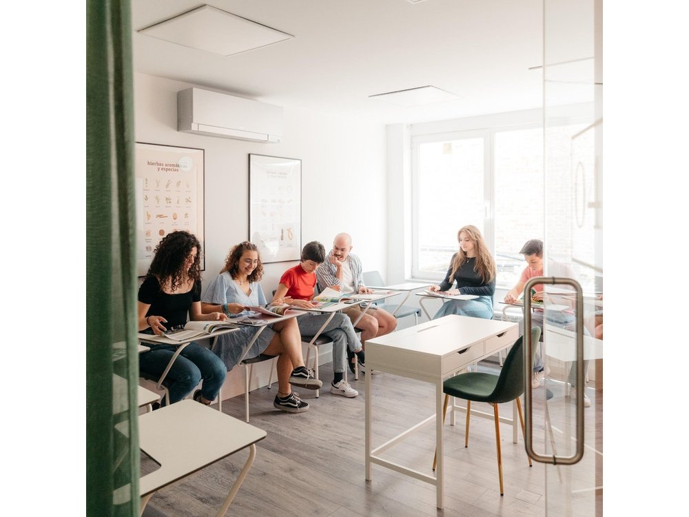 Spanish Group Course in Madrid, Spain: 30 Lessons