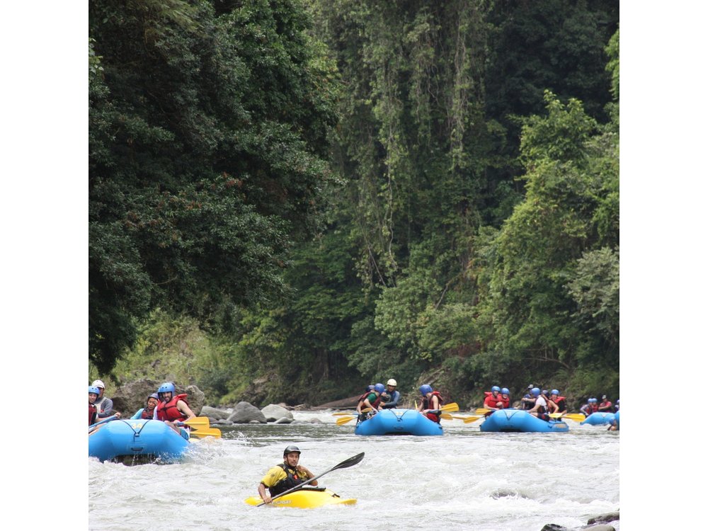 Rafting Pacuare River from La Fortuna w/ shuttle to Puerto Viejo or San Jose