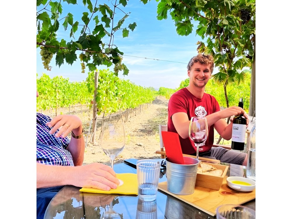 Douro Valley Small-Group Tour: 2 Wineries, Lunch, Optional Cruise