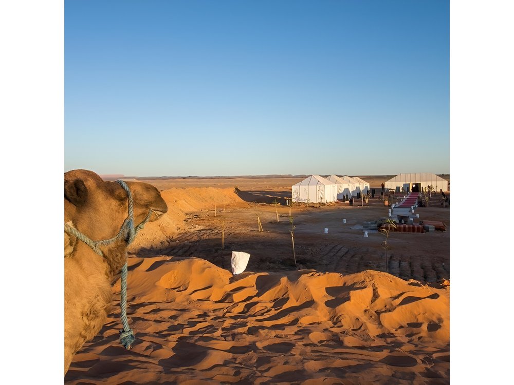 5 days private tour from Casablanca to Marrakech via fes Sahara