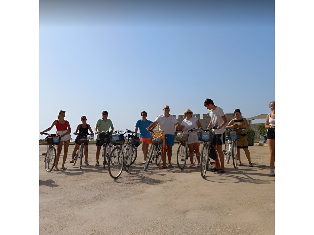 Syracuse Bicycle Rental