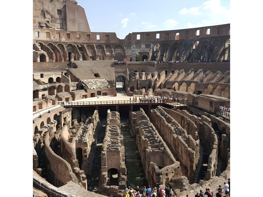Colosseum Guided Tour and Ancient Rome