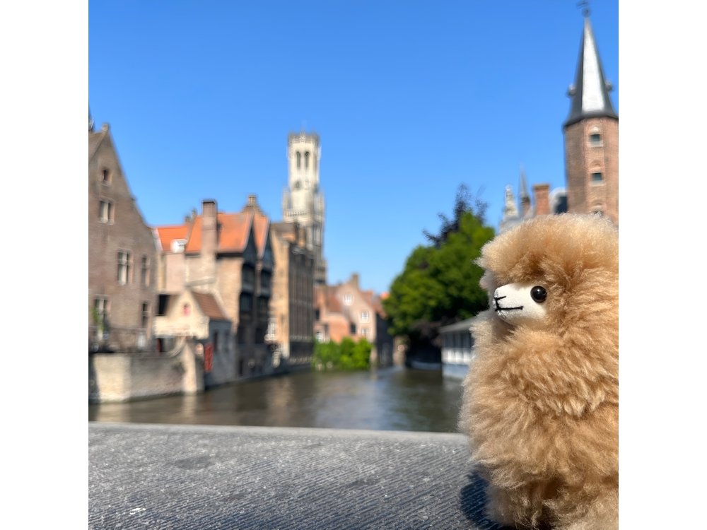 Bruges Private tour from Paris with Tastings