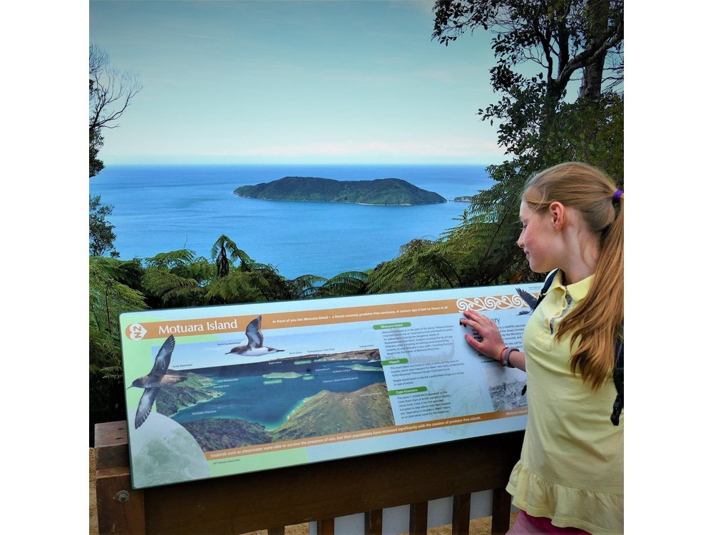 Queen Charlotte Track - Ultimate one Day Walk and Cruise