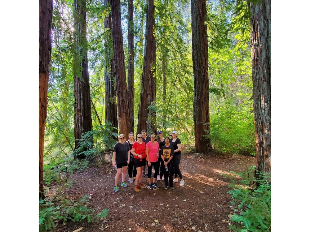 Napa Valley Redwood Hike