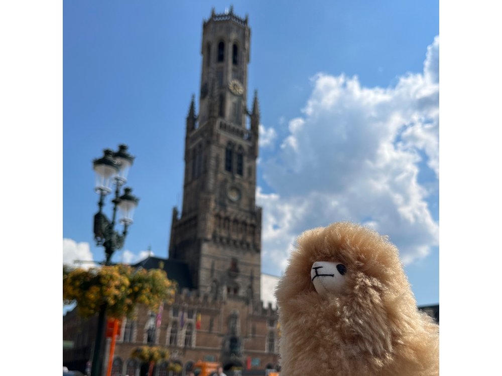 Private Full-Day Tour Bruges & Ghent from Brussels with tastings