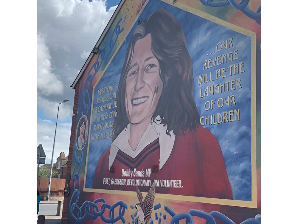 Belfast city and Mural 4 hour tour