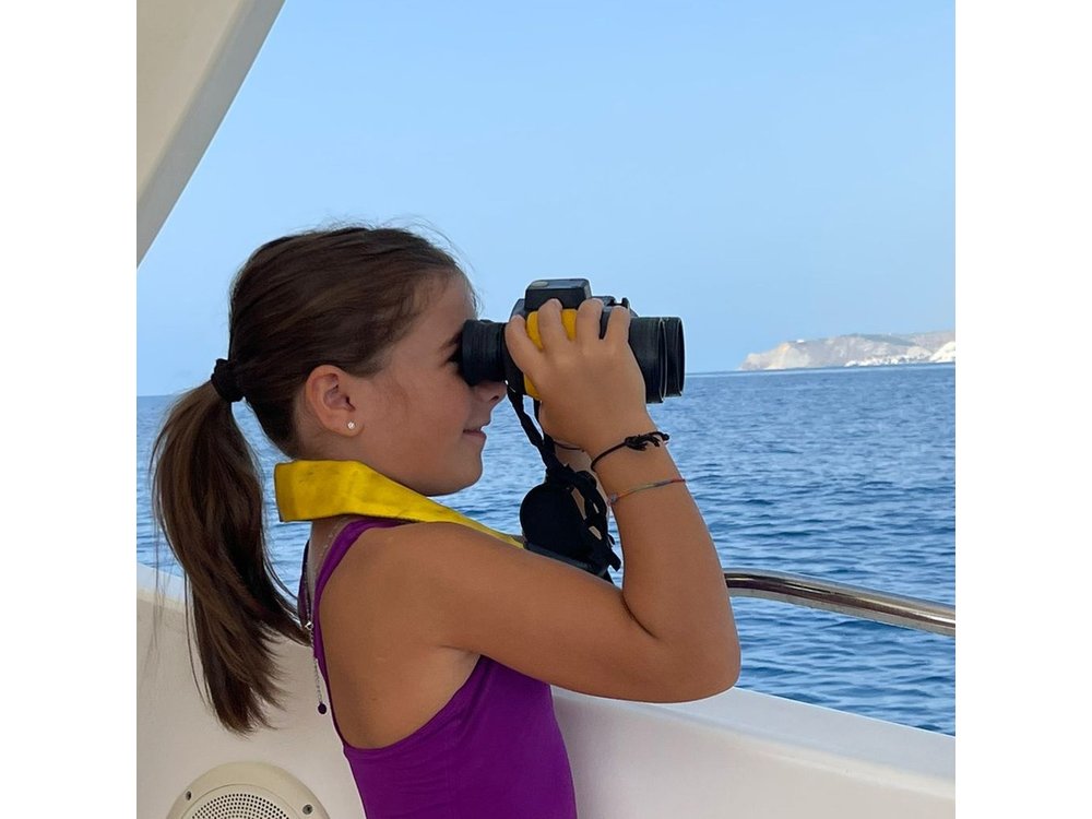 4 Hours Dolphin Watching Tour in Porto Empedocle