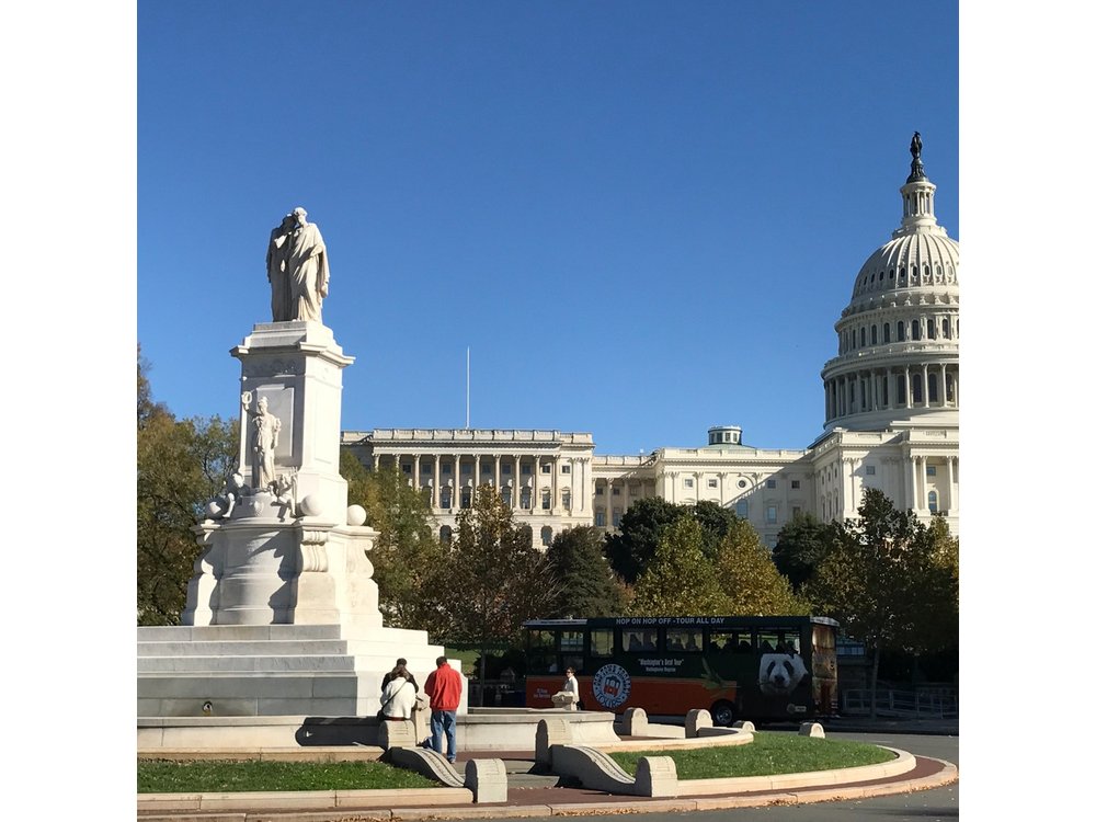 Half-Day Private Guided Bike Tour in Washington