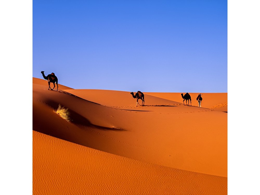 3-Day Merzouga Desert Tour from Marrakech with Overnight Camp