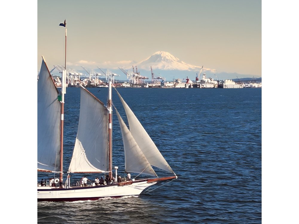 Brunch Cruise with Buffet in Washington