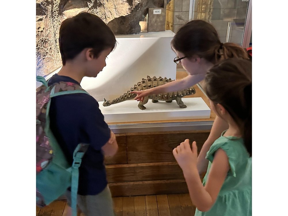 Kid-Friendly Natural History Museum & Dinosaurs Private Guided Tour in London