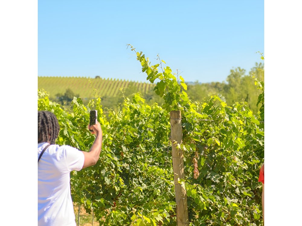 Florence: Private Full-Day Chianti Tour and Winery Lunch Optional