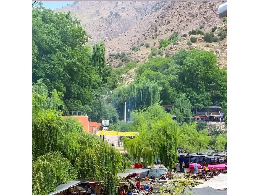 From Marrakech: Ourika Valley, Atlas, Waterfalls & Guide