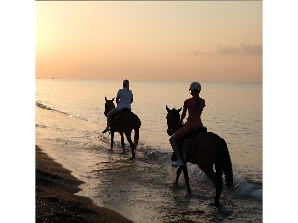 Horse back Riding in Antalya